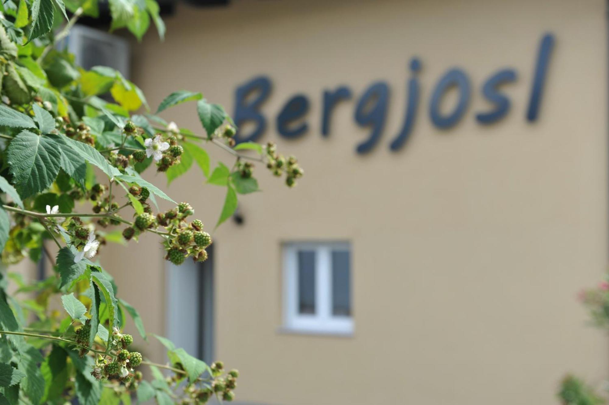 Kirchbach in Steiermark Beim Bergjosl 아파트 외부 사진